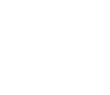 Variant 2