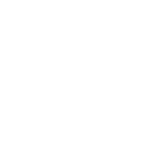 Variant 1